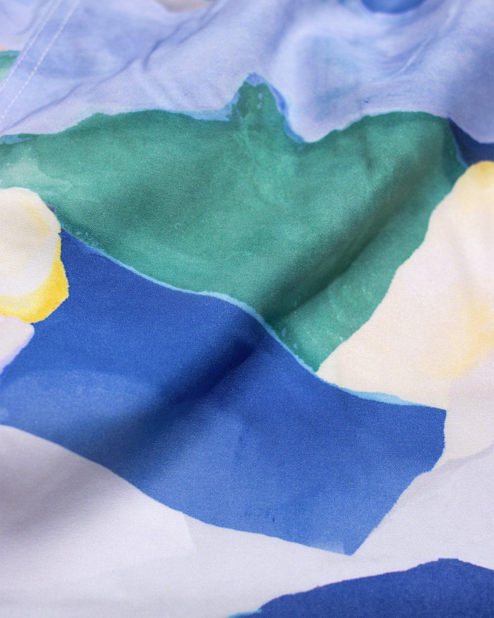 Swimshorts · Printed Swim Short - Landscape