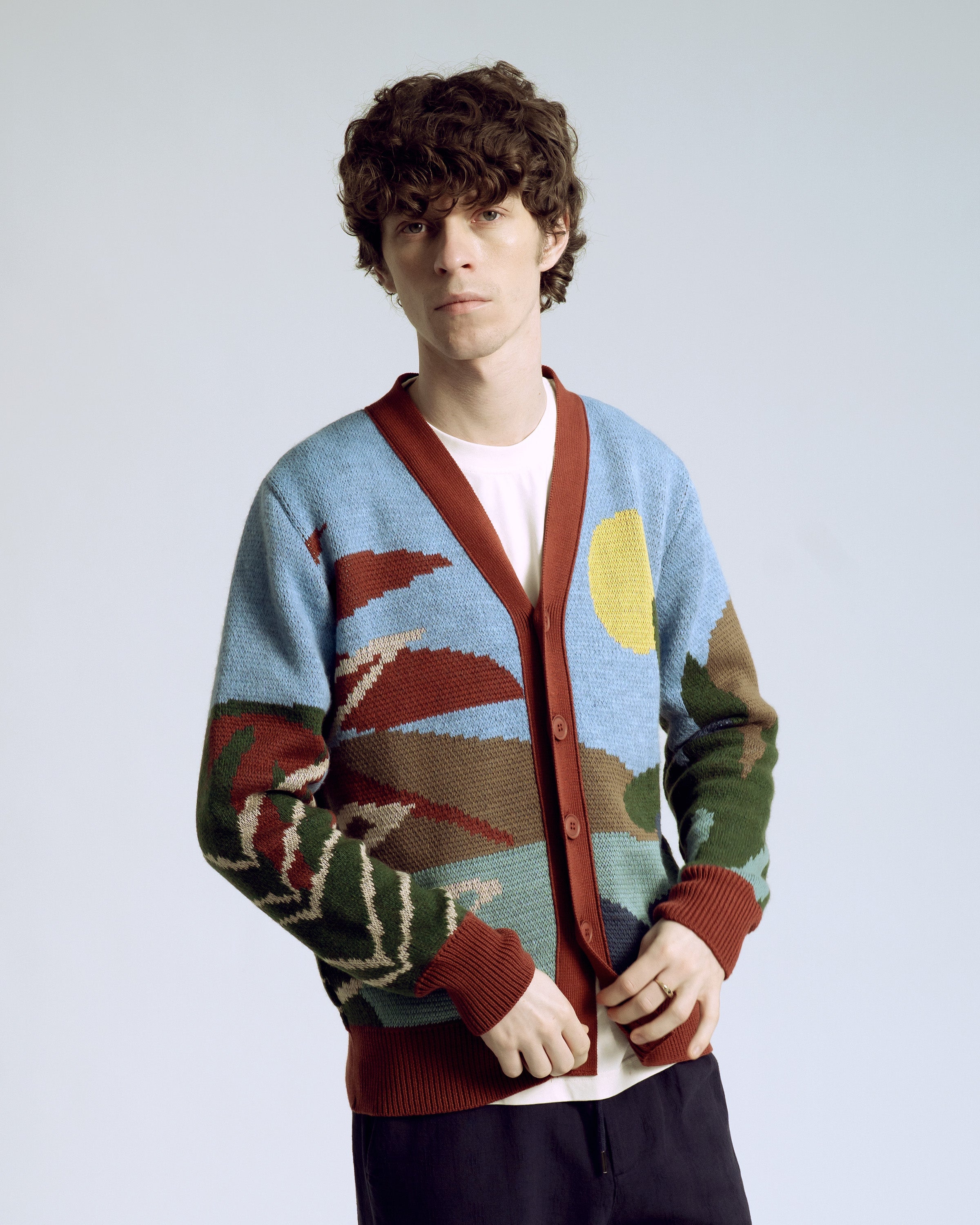 Jacquard Knit Landscape Cardigan Multicolor · Far Afield
