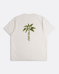 T-Shirts · Palm Logo T-Shirt