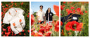 Rose Wong x Far Afield - Shirts in Poppy Field